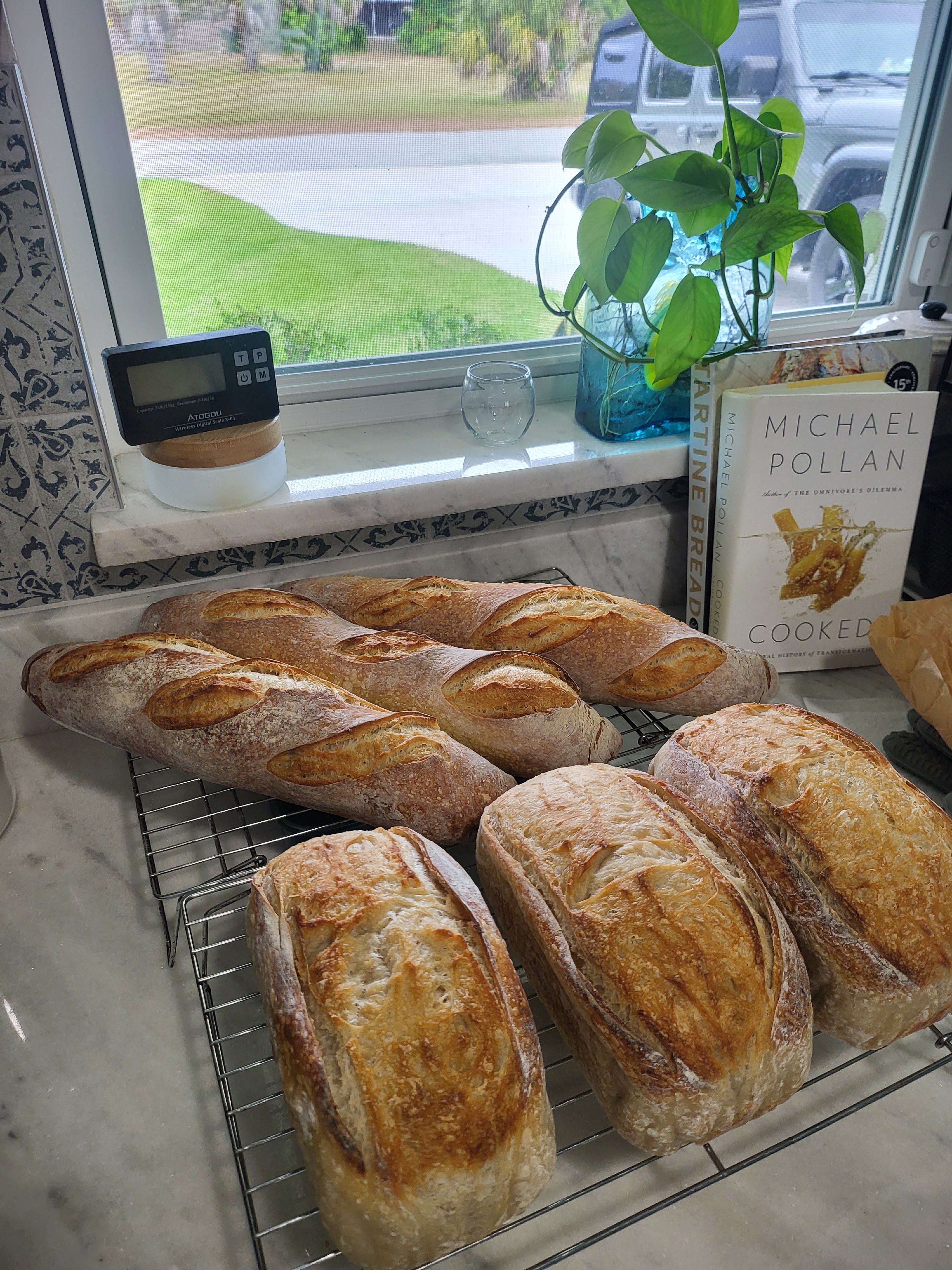 Classic Sourdough Loaf or Baguette