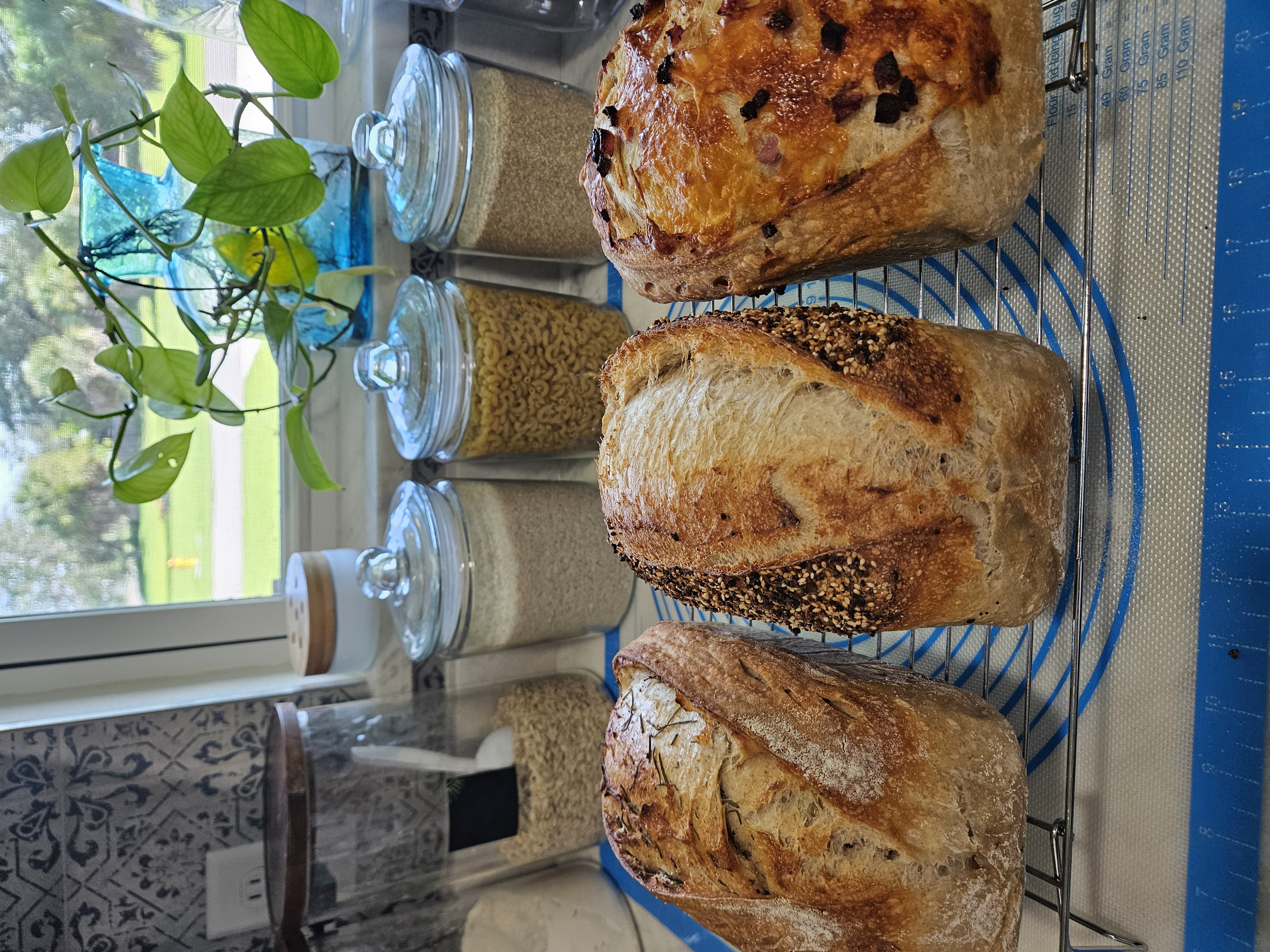Sourdough Loaf with inclusions