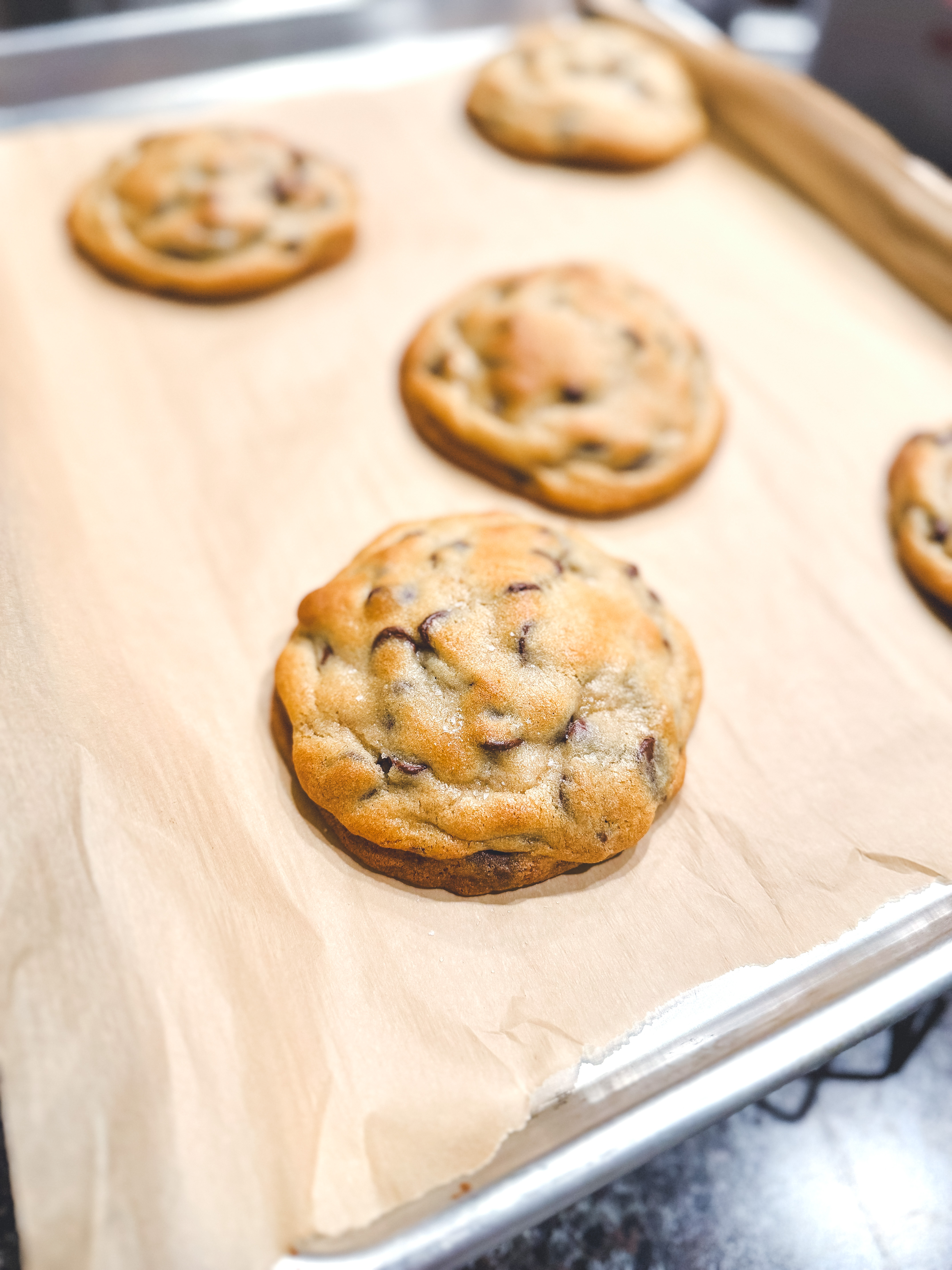 Gourmet/bakery style 5oz cookies - Riverview, FL